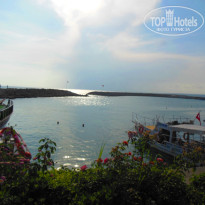 фото из отзыва ID 1202190