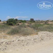 фото из отзыва ID 1202190