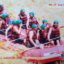 фото из отзыва ID 1202857