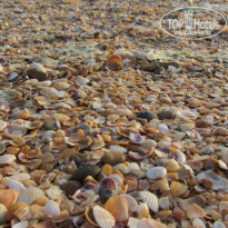 фото из отзыва ID 1202885