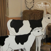 фото из отзыва ID 1202885