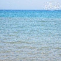 фото из отзыва ID 1202912