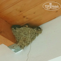 фото из отзыва ID 1202912