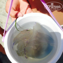 фото из отзыва ID 1203096