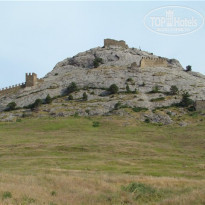 фото из отзыва ID 1203202