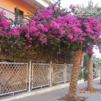 фото из отзыва ID 1203309