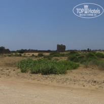 фото из отзыва ID 1203629