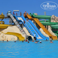 фото из отзыва ID 1203398