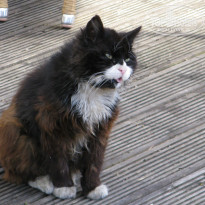 фото из отзыва ID 1202782