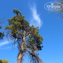 фото из отзыва ID 1202782