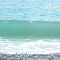 фото из отзыва ID 1203855