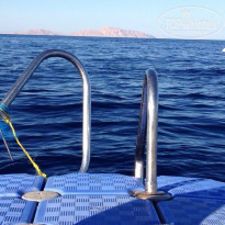 фото из отзыва ID 1203868