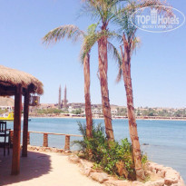 фото из отзыва ID 1203868