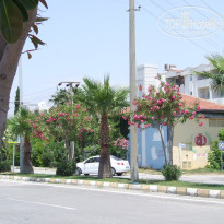 фото из отзыва ID 1204020