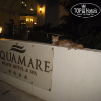 фото из отзыва ID 1204073