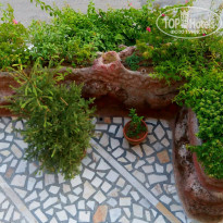 фото из отзыва ID 1204091