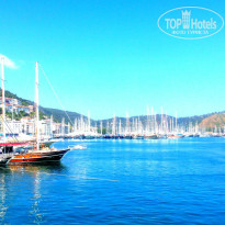 фото из отзыва ID 1204091