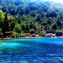 фото из отзыва ID 1204091