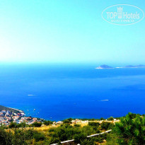 фото из отзыва ID 1204091