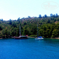 фото из отзыва ID 1204091