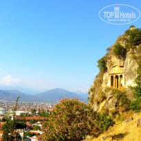 фото из отзыва ID 1204091