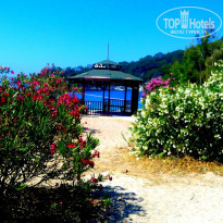 фото из отзыва ID 1204091