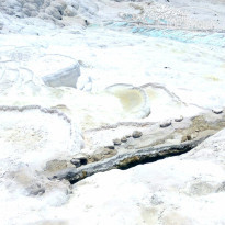 фото из отзыва ID 1204091