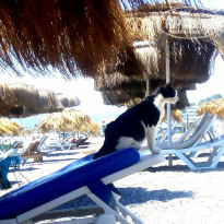 фото из отзыва ID 1204091