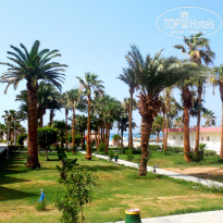 фото из отзыва ID 1204123