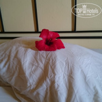 фото из отзыва ID 1204301