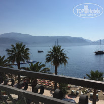 фото из отзыва ID 1204531