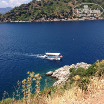 фото из отзыва ID 1204531