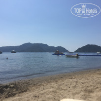 фото из отзыва ID 1204531