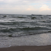 фото из отзыва ID 1204533