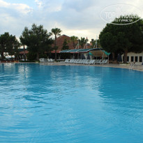 фото из отзыва ID 1204536