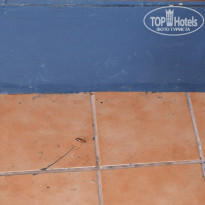 фото из отзыва ID 1201110