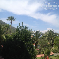 фото из отзыва ID 1204676