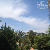 фото из отзыва ID 1204676