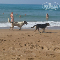 фото из отзыва ID 1204840