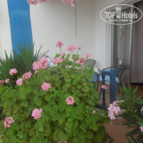 фото из отзыва ID 1205049