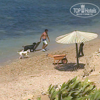 фото из отзыва ID 1205177