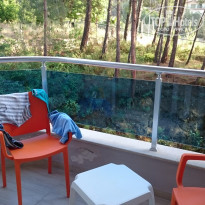 фото из отзыва ID 1205223