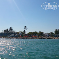 фото из отзыва ID 1205232