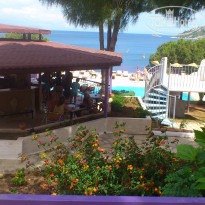 фото из отзыва ID 1205325