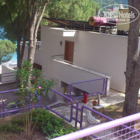 фото из отзыва ID 1205325