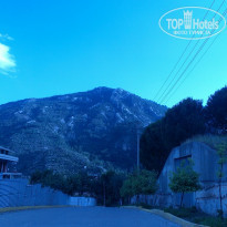 фото из отзыва ID 1205325