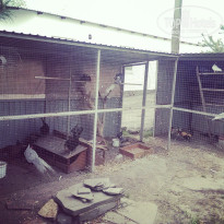 фото из отзыва ID 1205361