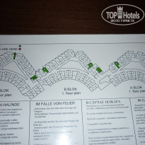 фото из отзыва ID 1205368