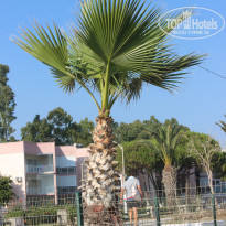 фото из отзыва ID 1205385