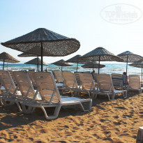 фото из отзыва ID 1205385